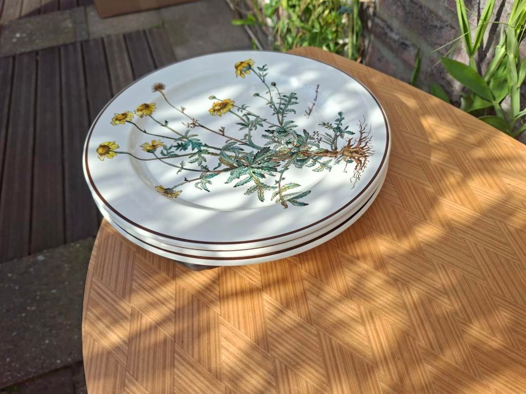 Villeroy & Boch Botanica borden 3 stuks, Huis en Inrichting, Ophalen of Verzenden