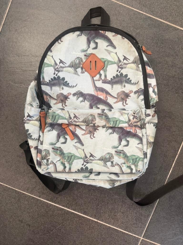 Gratis dino rugtas, Ophalen, Gebruikt, Overige merken, 30 tot 45 cm