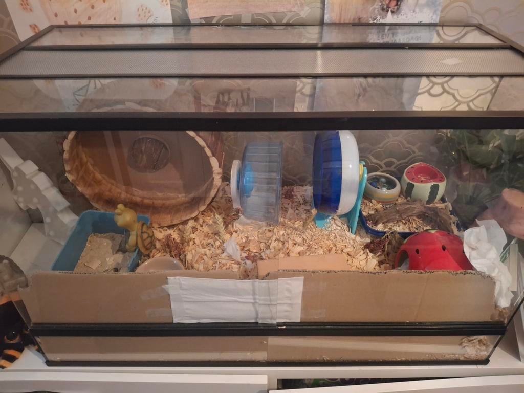 Terrarium tekoop 80x40x50cm, Gebruikt, 75 tot 110 cm, Ophalen, Minder dan 60 cm