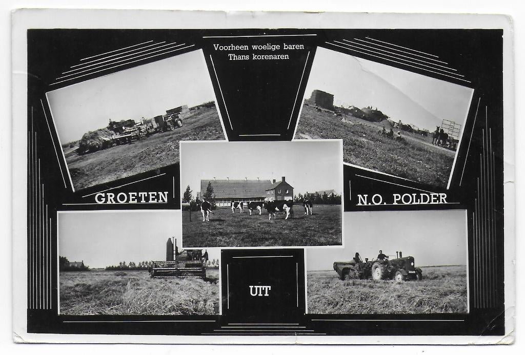 Noord Oost Polder  Gelopen  Ansichtkaart ( B7755), Verzenden, 1960 tot 1980, Gelopen, Zeeland
