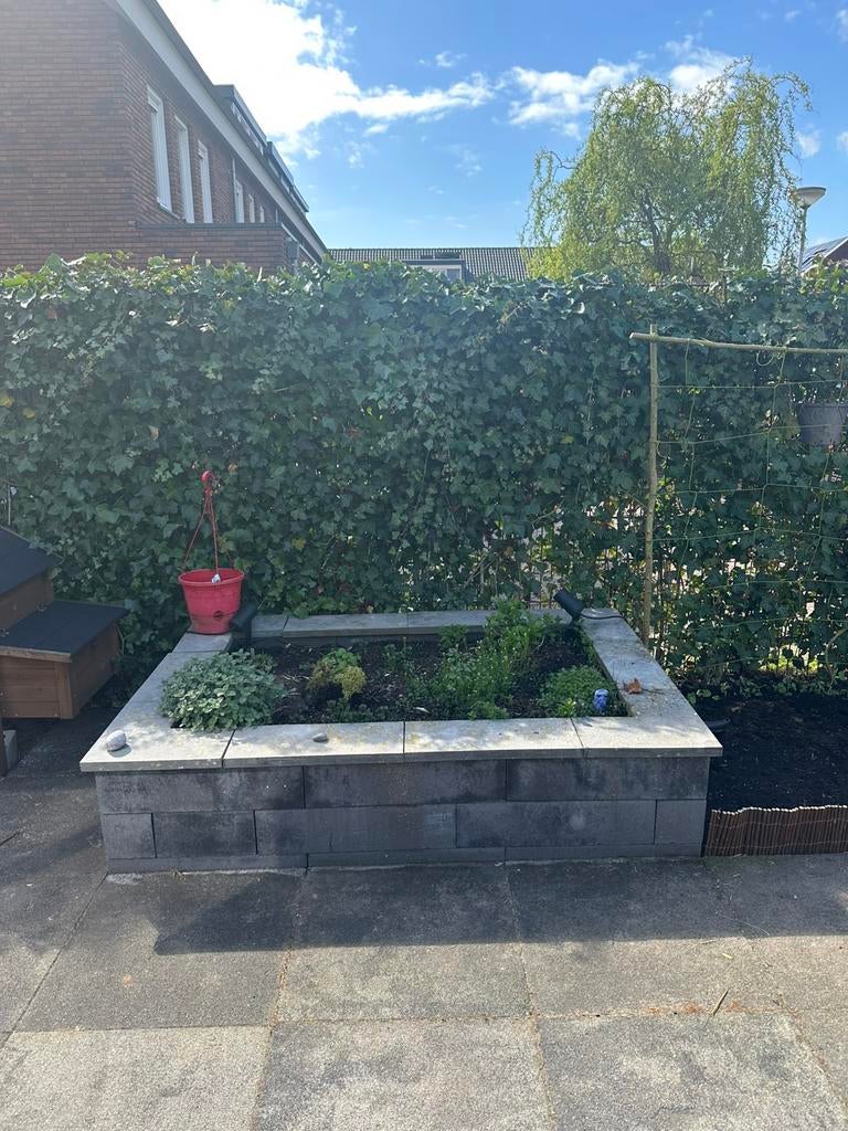 Verhoogde border, Tuin en Terras, Vijvers, Ophalen, Gebruikt