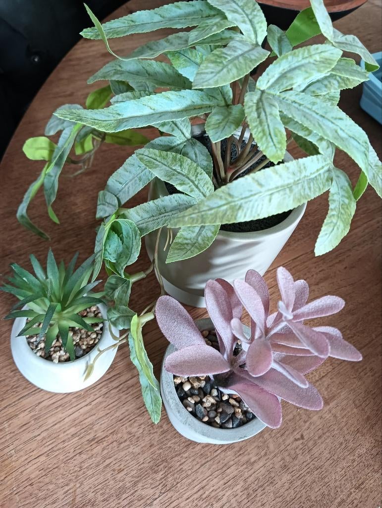 Kunstplantjes, Huis en Inrichting, Kamerplanten, Ophalen, Halfschaduw, Minder dan 100 cm