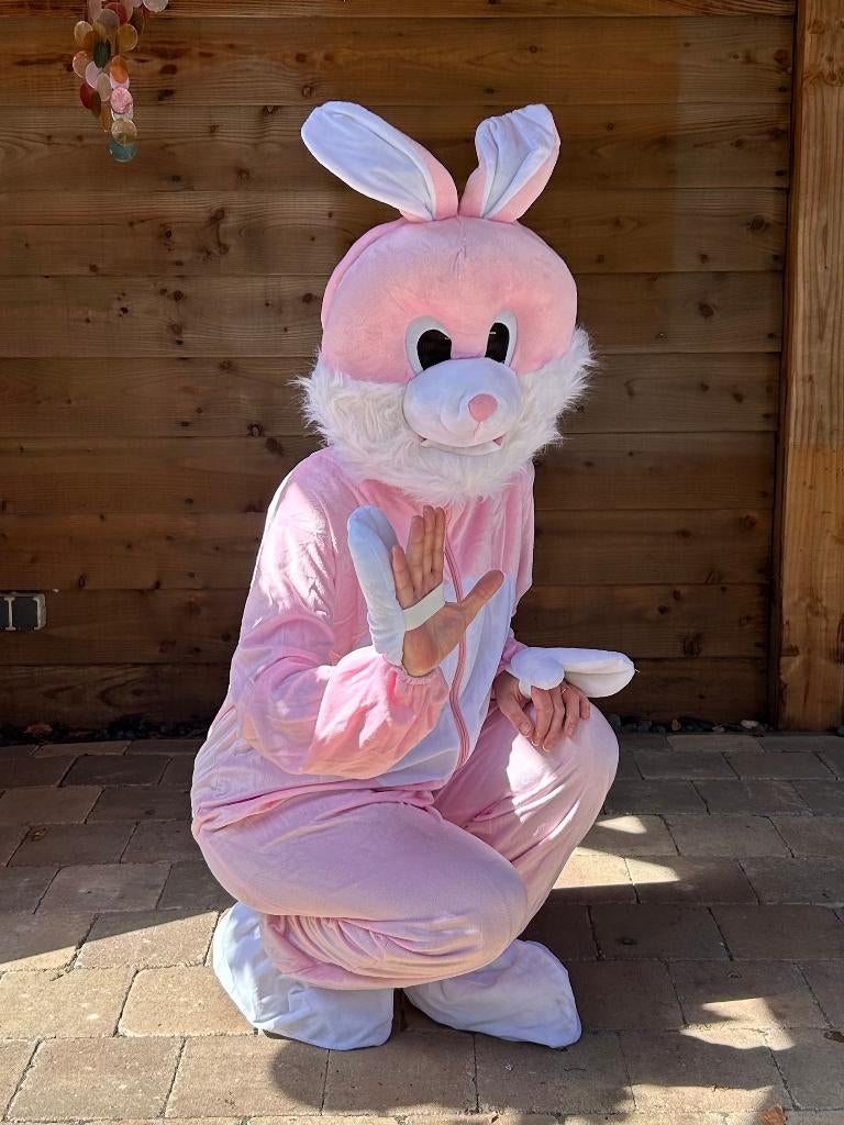 Leuk paashaas pak mascotte kostuum te huur voor 25 euro, Hobby en Vrije tijd, Feestartikelen | Verhuur, Ophalen of Verzenden, Zo goed als nieuw