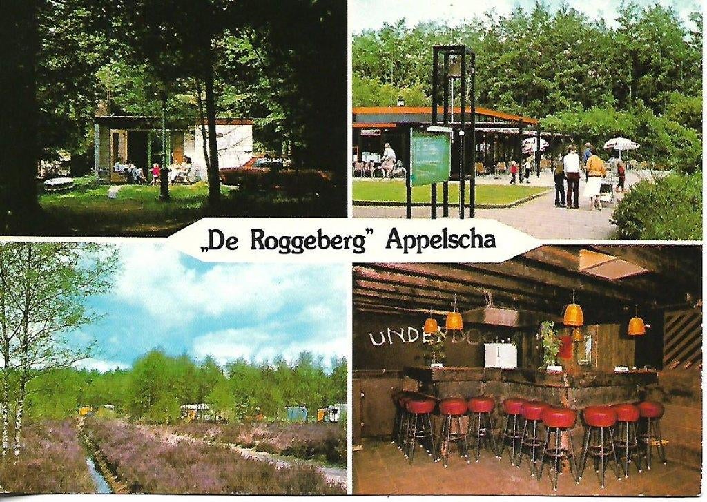 Appelscha- -4-luik, de Roggeberg., Verzenden, 1960 tot 1980, Gelopen, Friesland