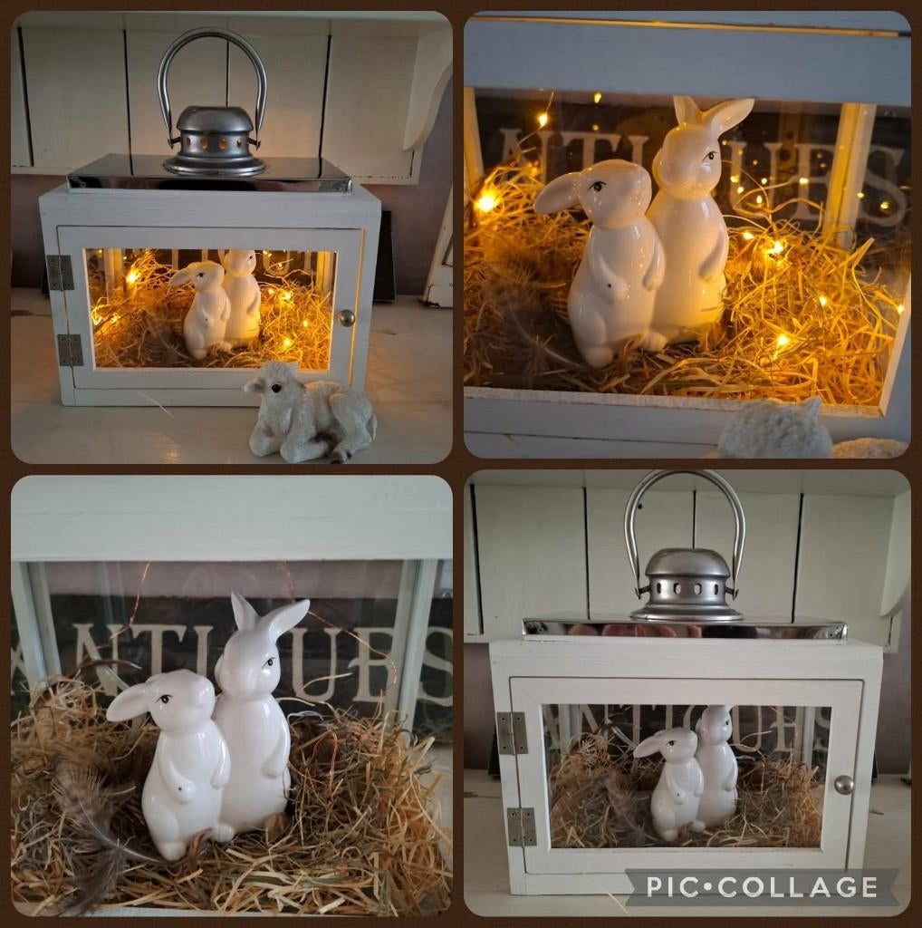 Super leuke lantaarn., Antiek en Kunst, Curiosa en Brocante, Ophalen of Verzenden