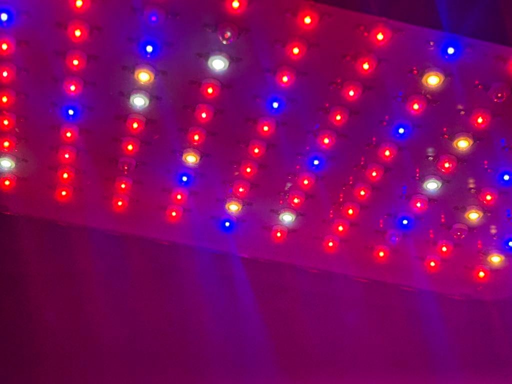 Sunny day kweeklamp 1000 watt, Ophalen, Zo goed als nieuw