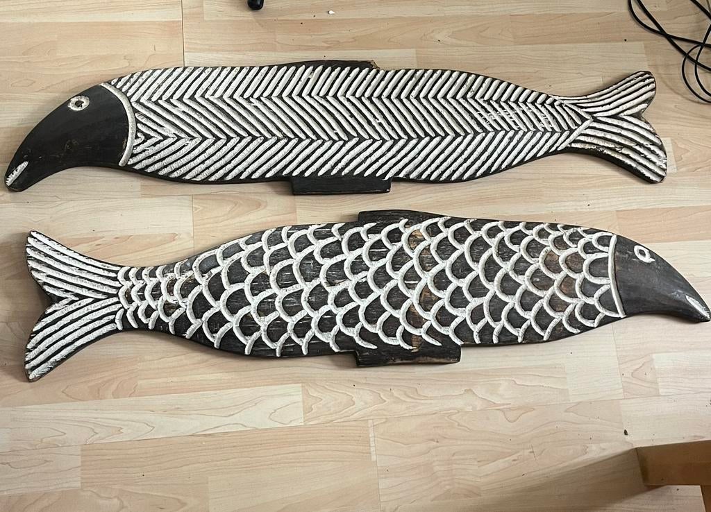 Afrikaanse schilden, vissenvorm, Mozanbiek, Afrika, Ophalen