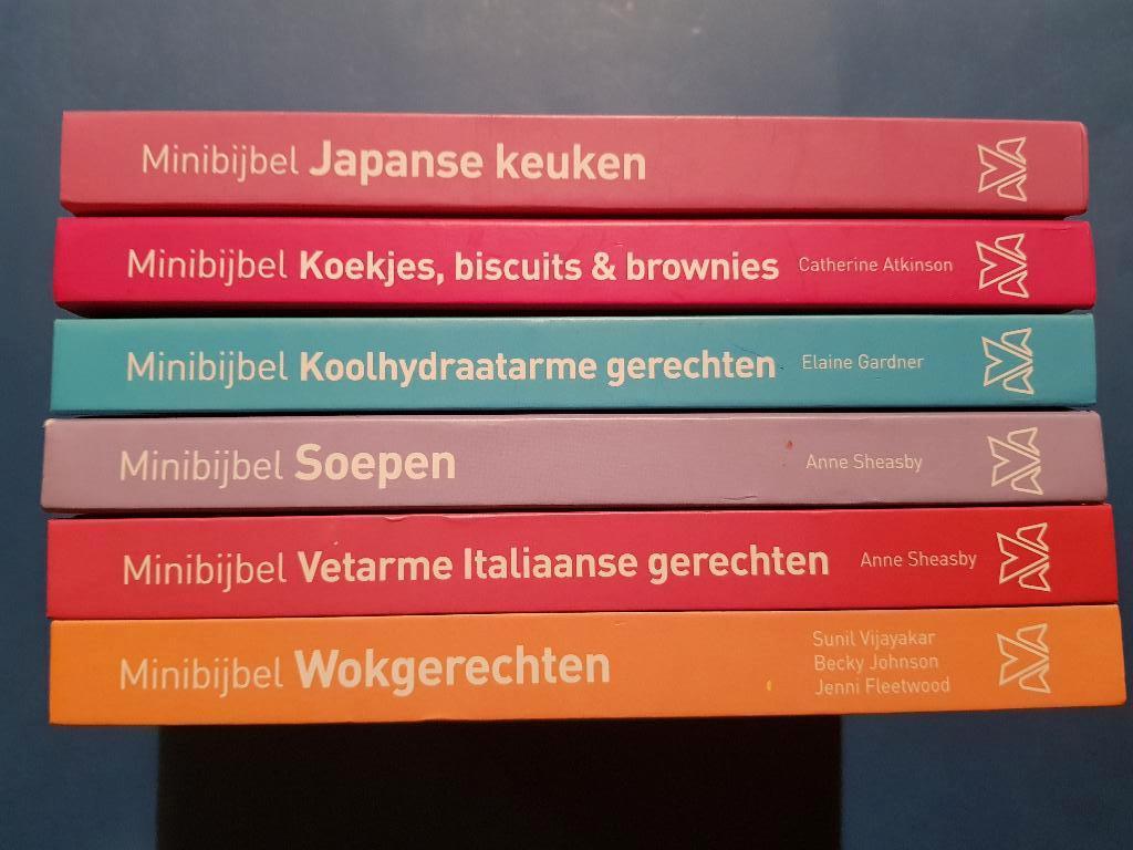minibijbels (6x) € 4,50 per stuk, Verzenden, Zo goed als nieuw