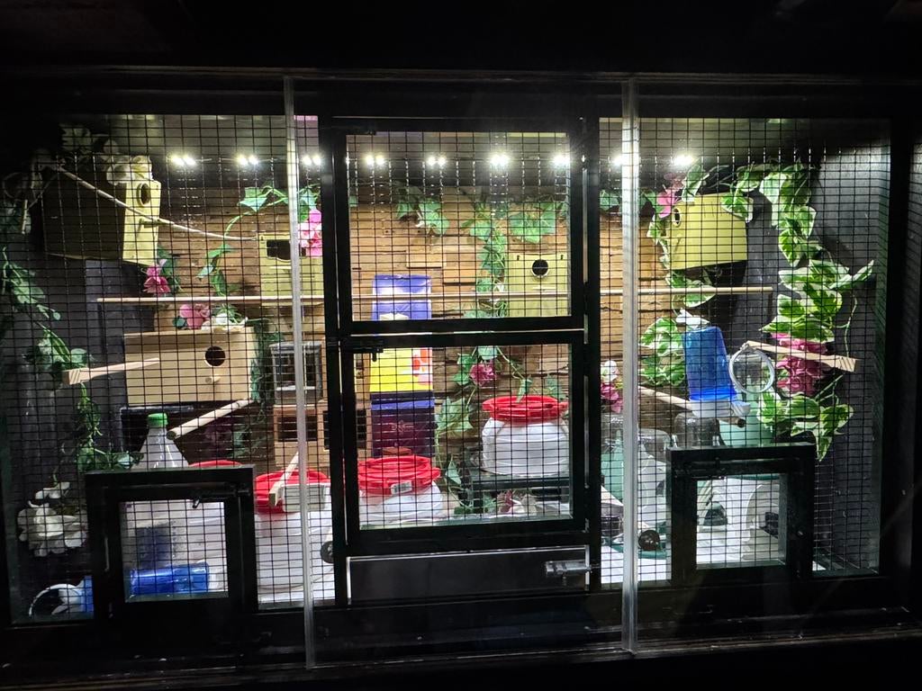 Super mooie complete vluchtkooi, Ophalen, Zo goed als nieuw, Aluminium, Vogelkooi