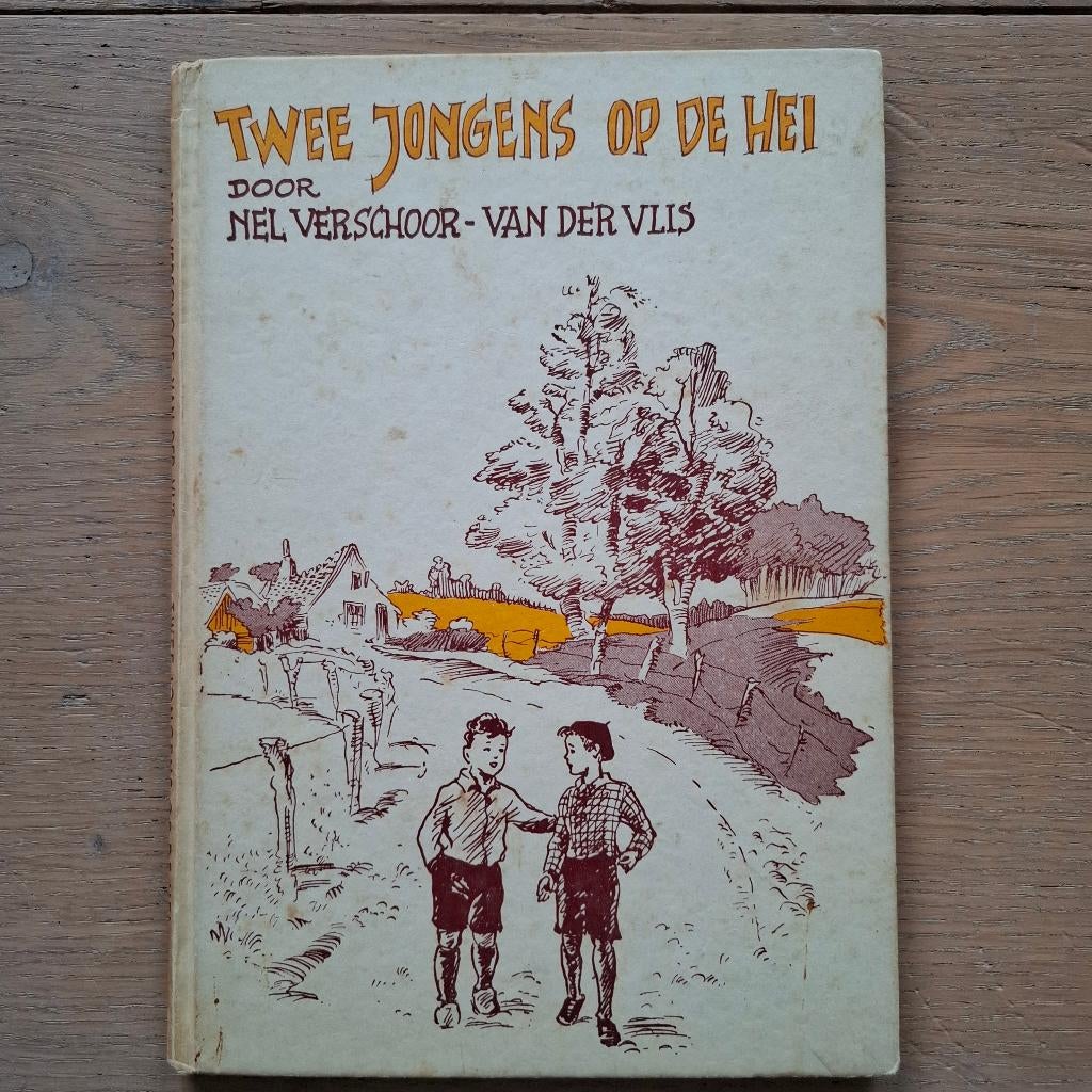 Twee jongens op de hei nel verschoor van der vlis, Ophalen of Verzenden, Gelezen, Nel verschoor van der vlis, Fictie algemeen
