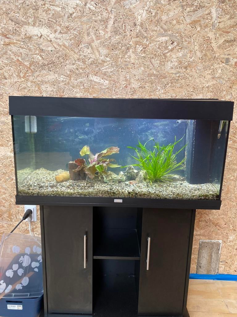 Gezocht: gratis vissen/aquarium spullen, Ophalen of Verzenden, Zo goed als nieuw, Leeg aquarium