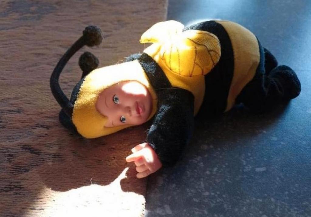 Anne Geddes, Ophalen of Verzenden, Pop