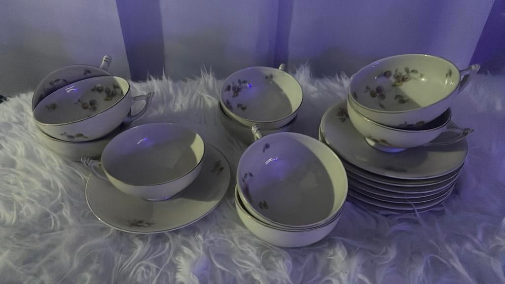 Spenzo 9 delige thee servies, Huis en Inrichting, Gebruikt, Ophalen of Verzenden, Overige stijlen, Kop(pen) en/of Schotel(s)