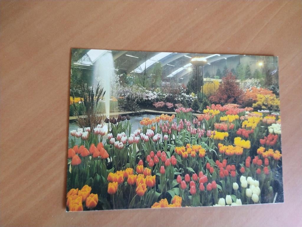 ansichtkaart Westfriese Flora - Bovenkarspel, Verzamelen, Ansichtkaarten | Nederland, Ophalen of Verzenden, Noord-Brabant