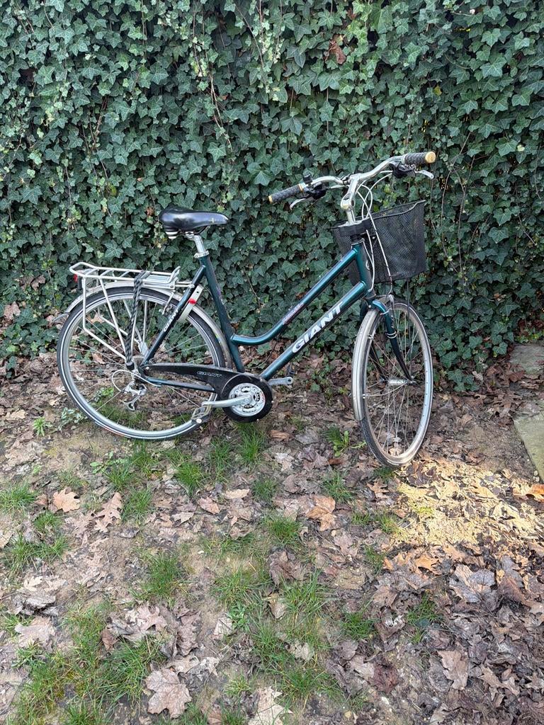 Giant damesfiets met versnellingen en mandje, Fietsen en Brommers, Fietsen | Dames | Damesfietsen, Ophalen, Gebruikt, Versnellingen