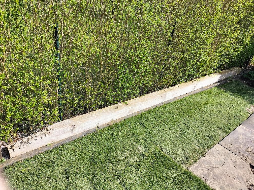 Houten balk, Ophalen, Hout, Biels, Minder dan 25 cm