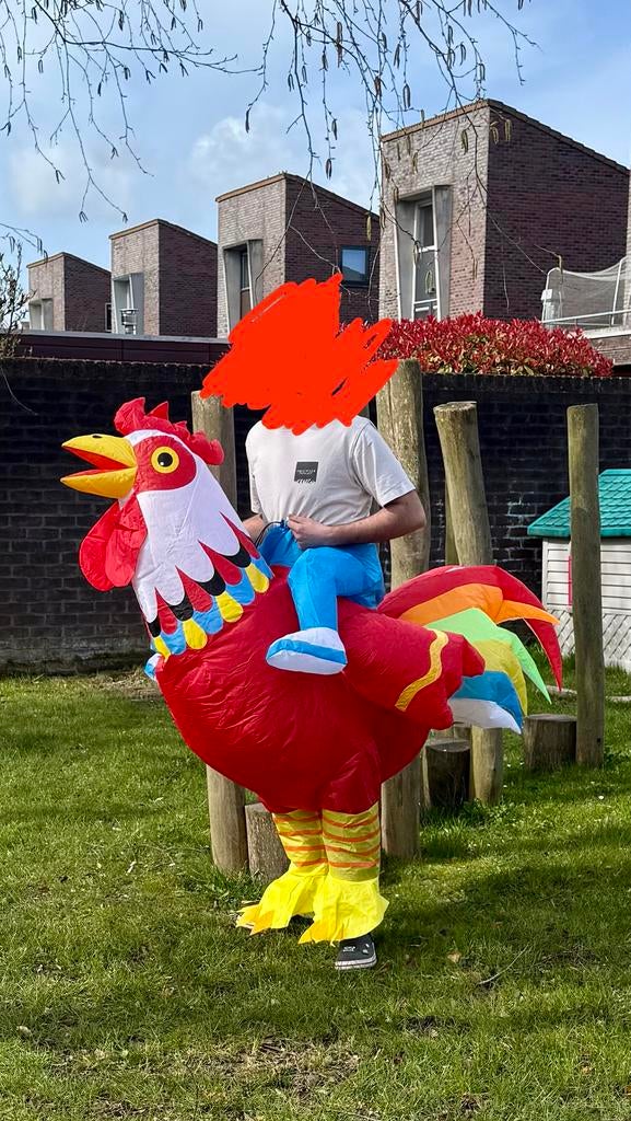 Opblaasbaar kippenpak volwassen maat, Kleding | Dames, Carnavalskleding en Feestkleding, Ophalen of Verzenden, Zo goed als nieuw