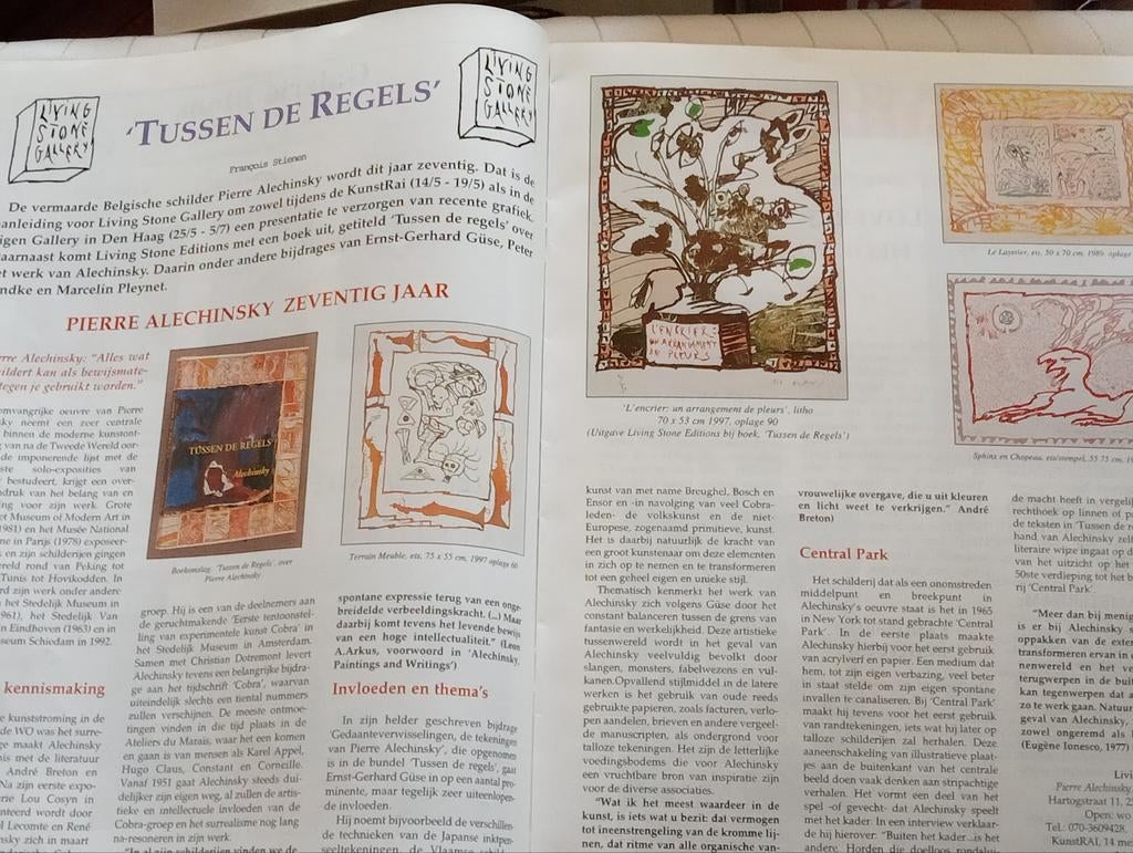 Pierre Alechinsky Cobra Corneille Jorg Reme, Ophalen of Verzenden, Gelezen, Overige typen