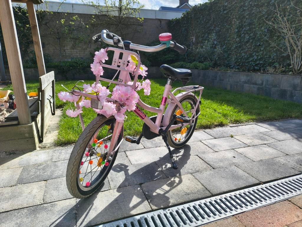 Leuke meisjesfiets 16 inch - Roze met bloemdecoratie, Ophalen, Gebruikt, Handrem, Alpina Cargo