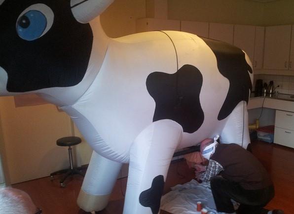 ranja koe melken bier koe limonadekoe feest te huur huren, Ophalen of Verzenden, Zo goed als nieuw, Overige