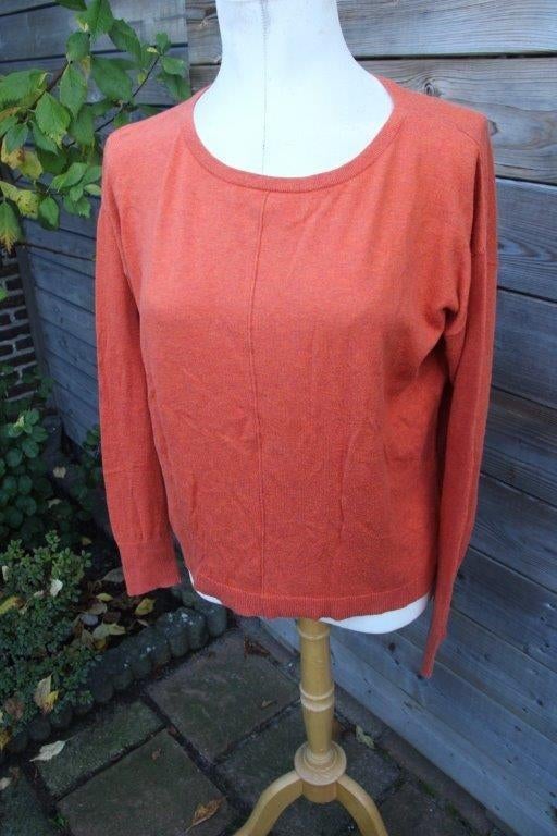 Trui roestrood Giulia e Tu mt 36 Vaste prijs, Kleding | Dames, Truien en Vesten, Overige kleuren, Ophalen of Verzenden, Zo goed als nieuw