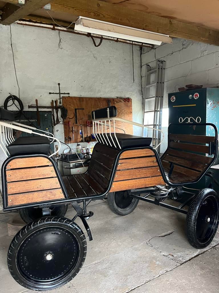 Nette geremde menwagen inclusief tuig, Zo goed als nieuw, Paard of Pony