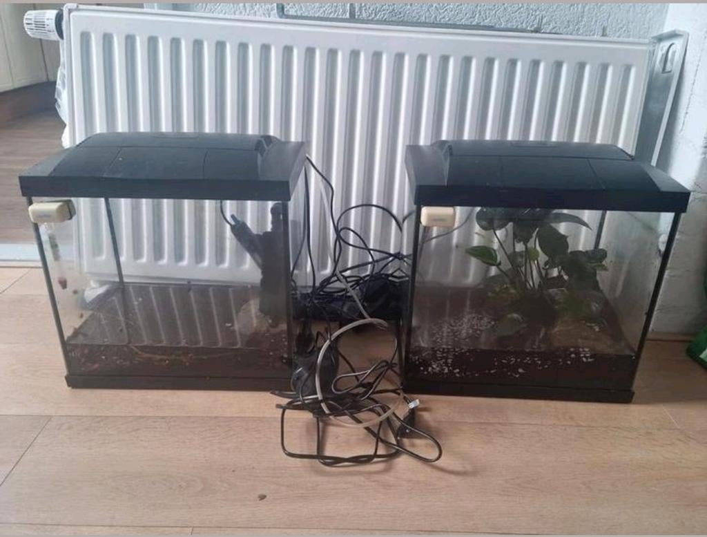 2x indentieke aquariumbakken 35x22x37 incl led en vele toebe, Dieren en Toebehoren, Vissen | Aquaria en Toebehoren, Ophalen of Verzenden