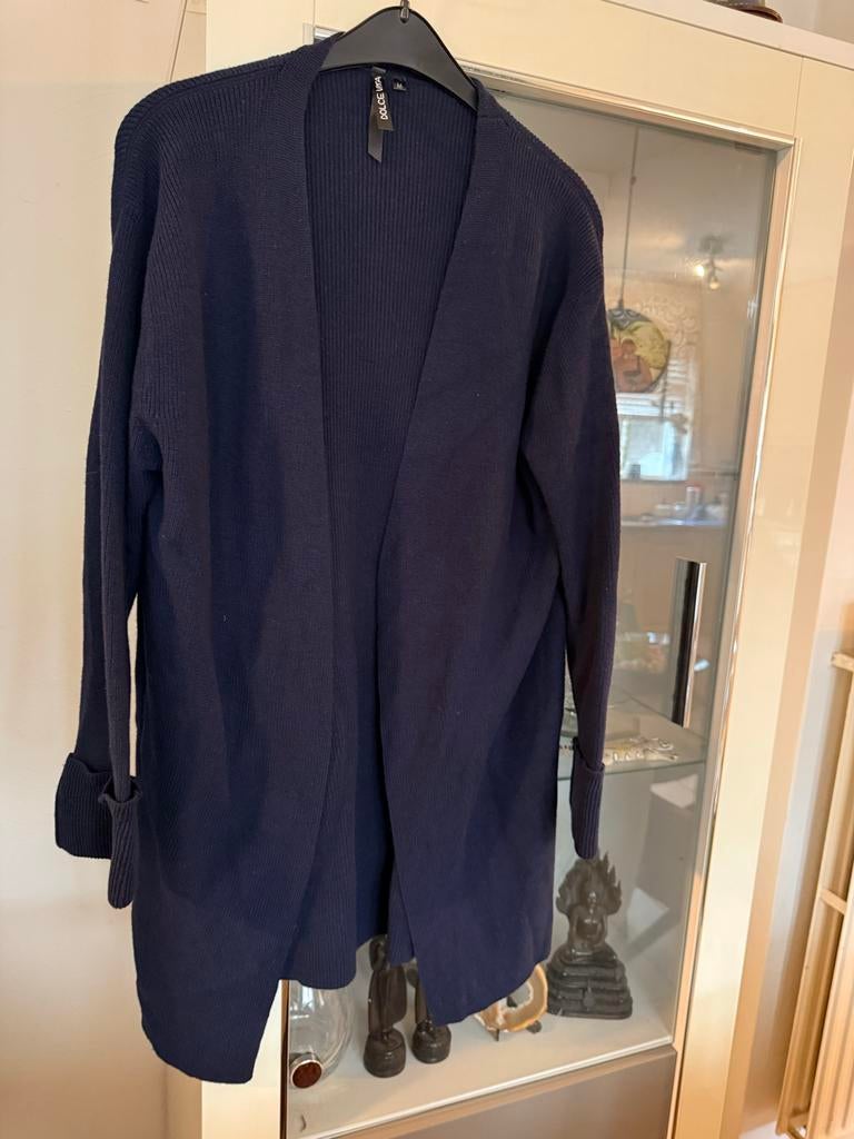 Donkerblauwe cardigan Dolce Vita maat M, Ophalen of Verzenden, Zo goed als nieuw, Maat 38/40 (M), Blauw