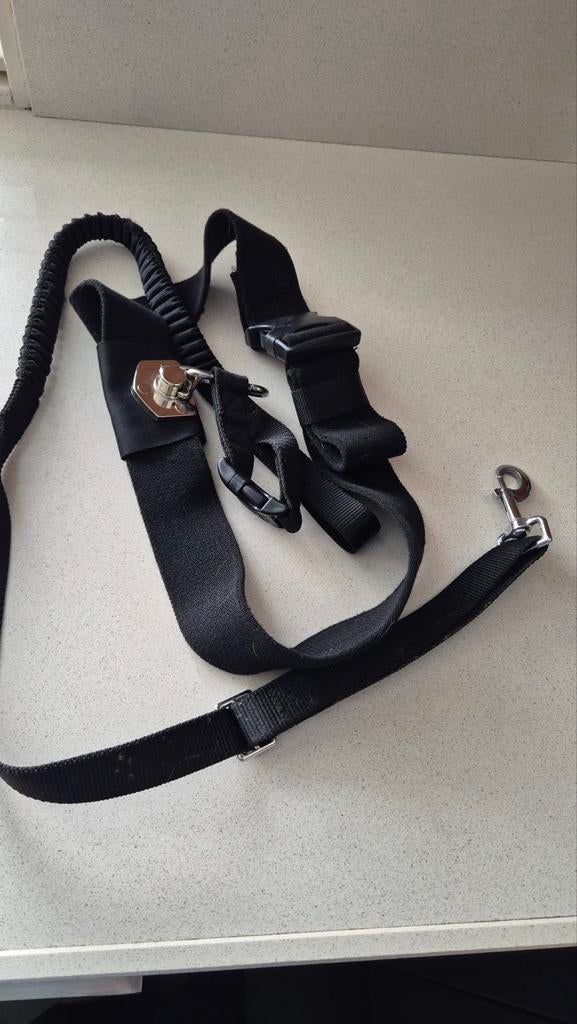 Heuplijn met loopriem, Ophalen of Verzenden, Nieuw