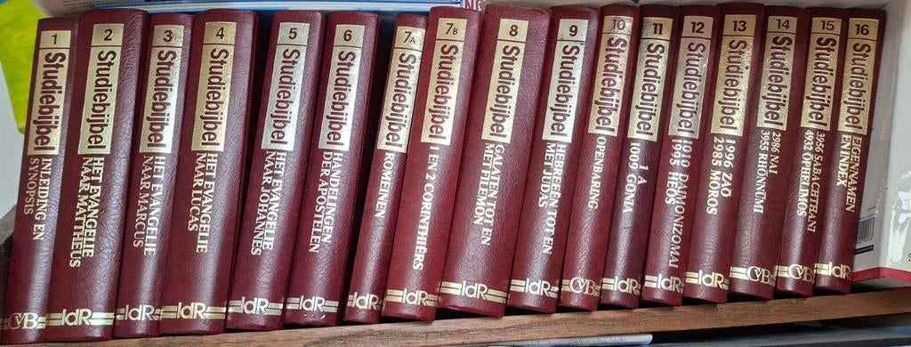 17-delige Studiebijbel Nieuwe Testament, Boeken, Godsdienst en Theologie, Ophalen of Verzenden