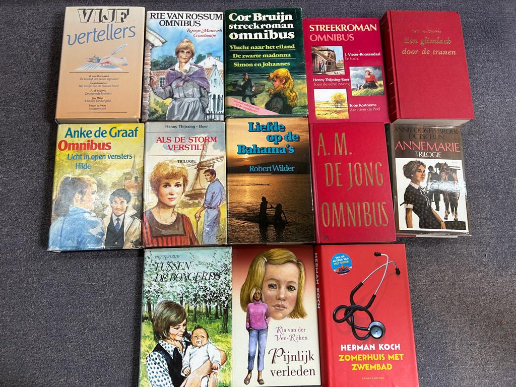 Romans, Ophalen of Verzenden, Gelezen