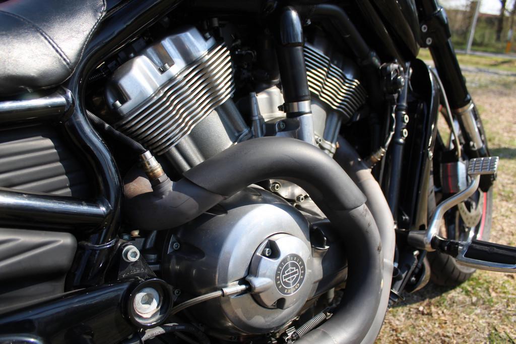 Harley-Davidson V-Rod Muscle - foto 2