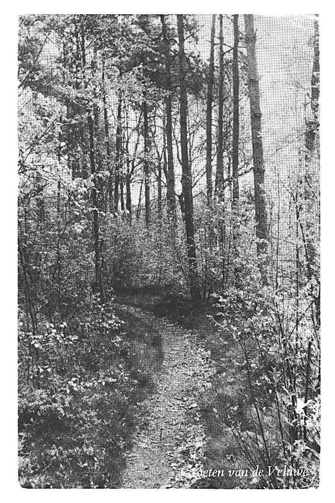 950658 Hierden Gld 1964 Vakantiecentrum De Woudstee Gelopen, Ophalen of Verzenden, 1960 tot 1980, Gelopen, Gelderland