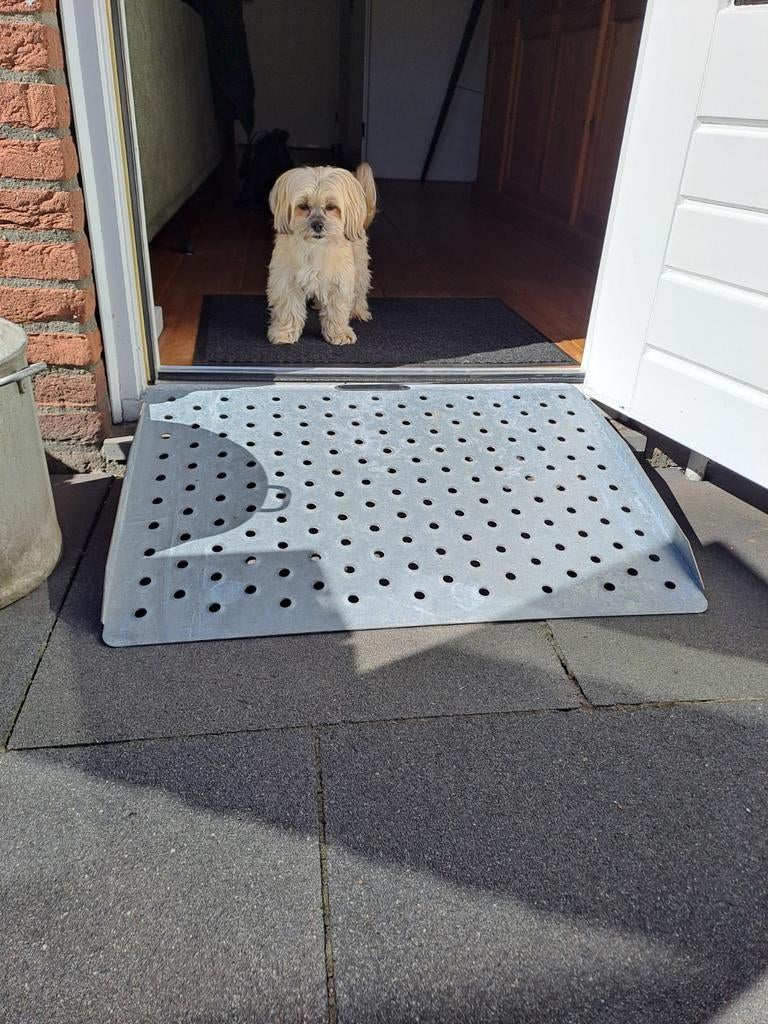 Oprijplaat voor rolstoel/rollator, Ophalen, Duwrolstoel