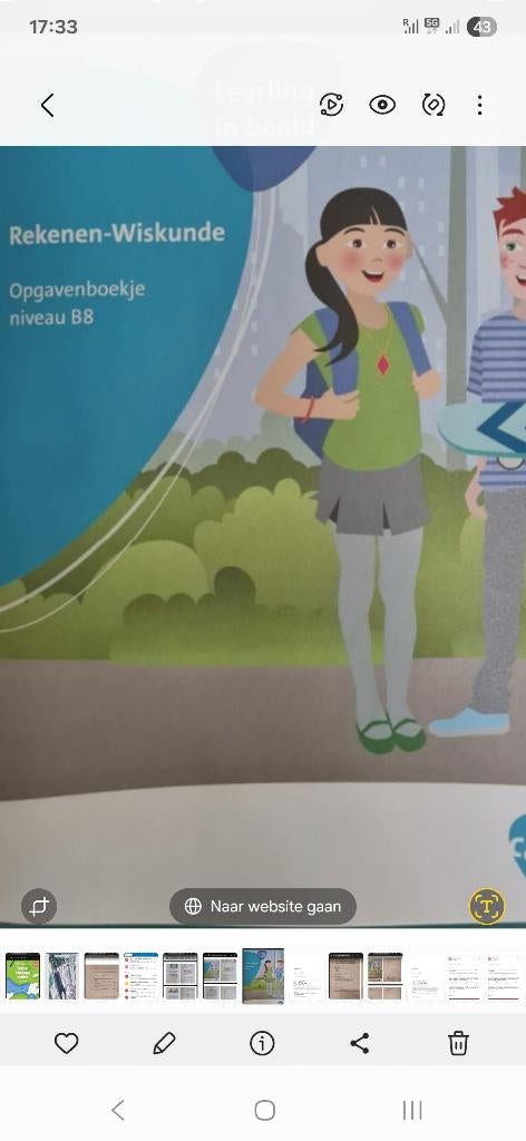 Cito Toetsen Groepen 4,5,6,7,8, Ophalen of Verzenden, Zo goed als nieuw, Overige niveaus, Nederlands