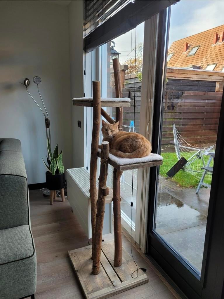 Krabpaal Lotje, Ophalen, Nieuw, Kommiezenlaan 19, Krabpaal