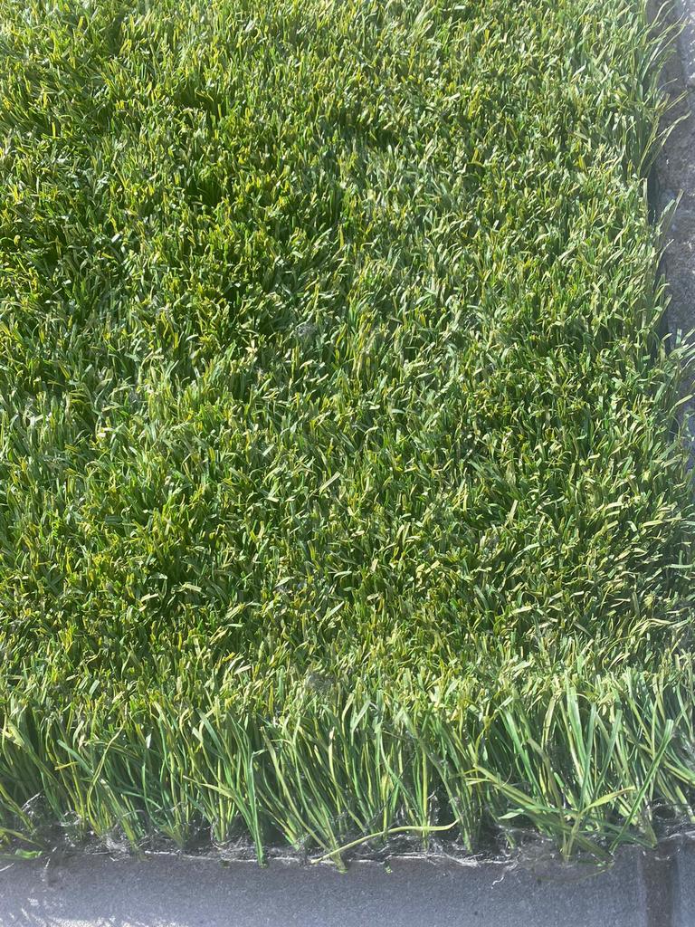 24m2 Kunstgras. Nog als nieuw! (4m x 6m) €192,-