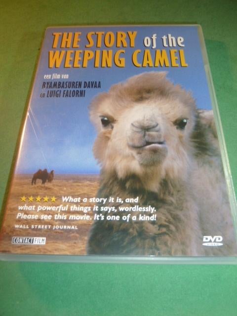 The story of the weeping camel Byambasuren Davaa dvd, Alle leeftijden, Verzenden, Zo goed als nieuw, Azië