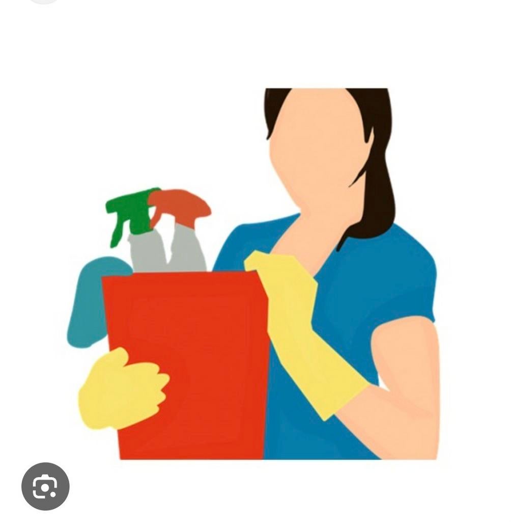 Betrouwbare ervaren schoonmaakster