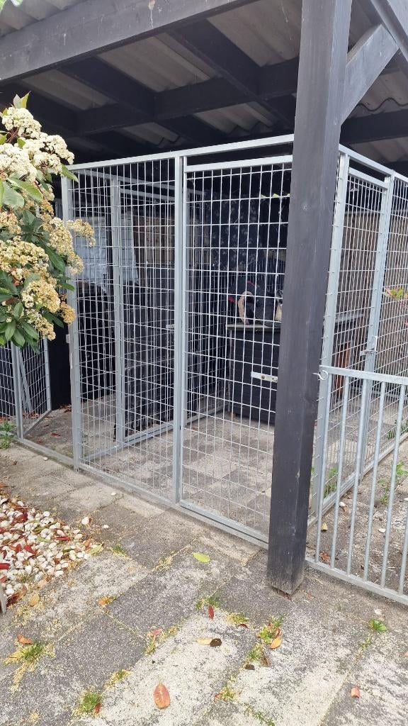 Hondenhok / Kenneldelen / Kennelpanelen, Dieren en Toebehoren, Hondenhokken, Gebruikt, Hondenkennel, 100 cm of meer, 110 cm of meer