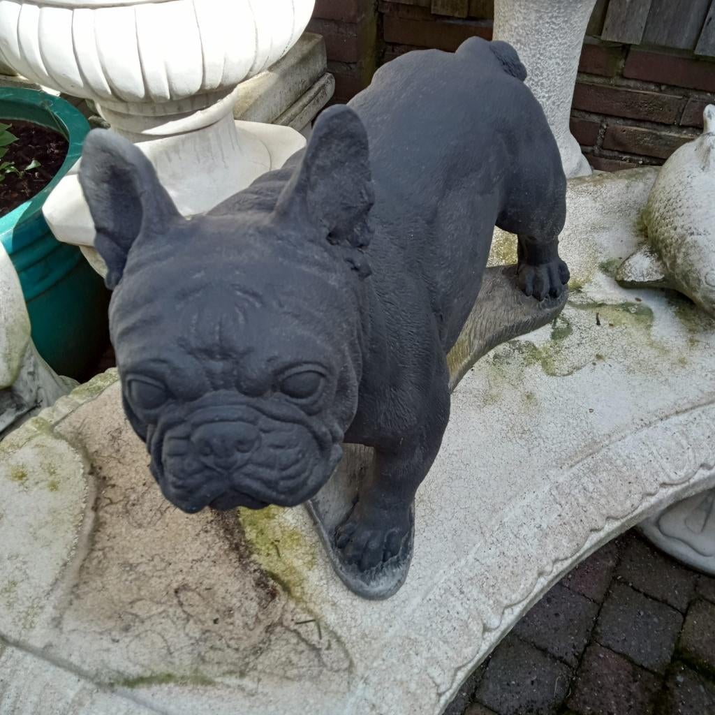 Franse buldog van beton, Ophalen, Gebruikt, Beton, Dierenbeeld