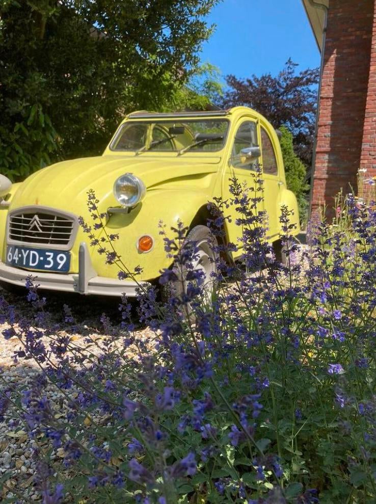 Schitterende patina 2Cv ZDZ uit 1977, Auto's, Oldtimers, Voorwielaandrijving, Zwart, Overige kleuren, Citroën