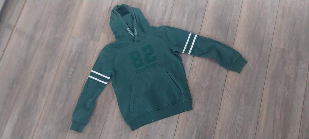 Hoodie, Terstal, Trui of Vest, Ophalen of Verzenden, Zo goed als nieuw