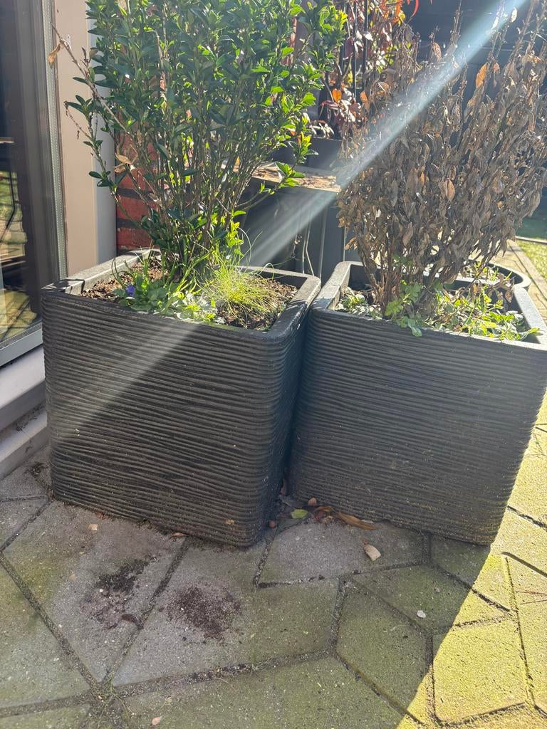 Capi Europe Plantenbak Rib Zwart - Zo goed als nieuw, Tuin en Terras, Bloembakken en Plantenbakken, Kunststof, Minder dan 60 cm