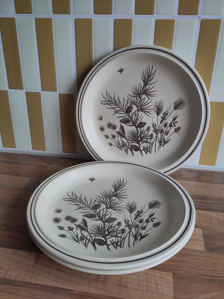 Set van 3 Pinewood borden, W.H. Grindley, 26 cm, Ophalen of Verzenden