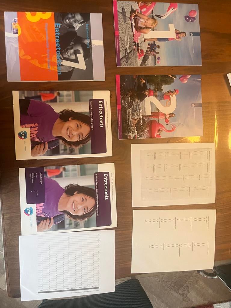 Centrale eindtoets cito toets 2019, Boeken, Schoolboeken, Ophalen of Verzenden, Gelezen, Overige niveaus, Nederlands