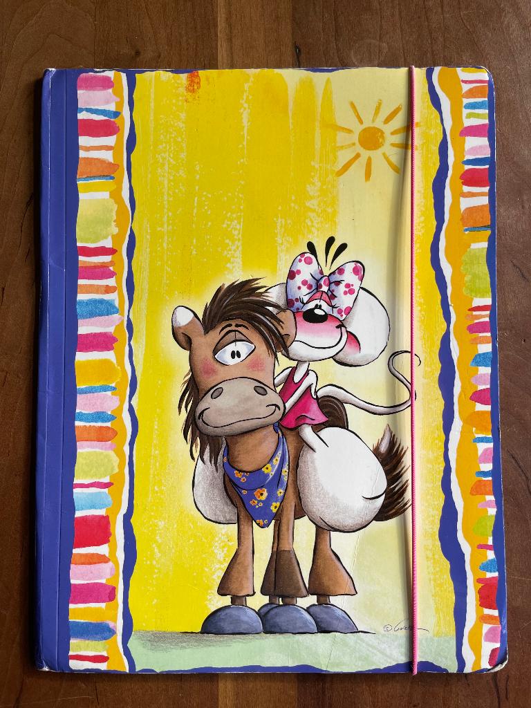 Diddle map, Ophalen of Verzenden, Diddl, Gebruikt, Papier, Kaart of Schrift