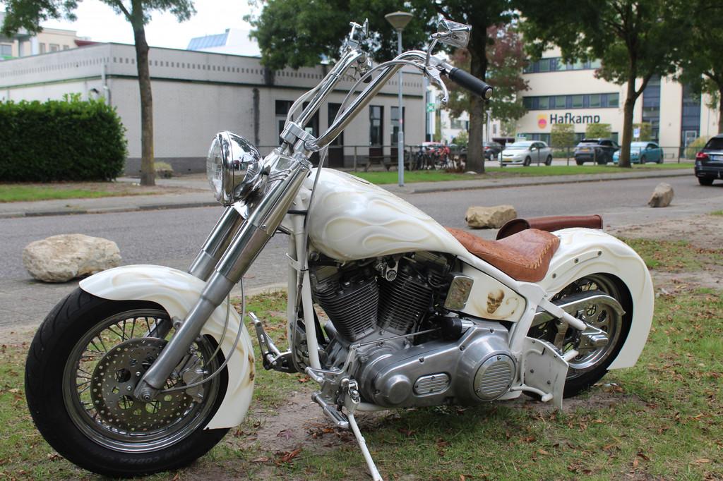 Harley-Davidson Heritage FLST Heritage special - foto 3