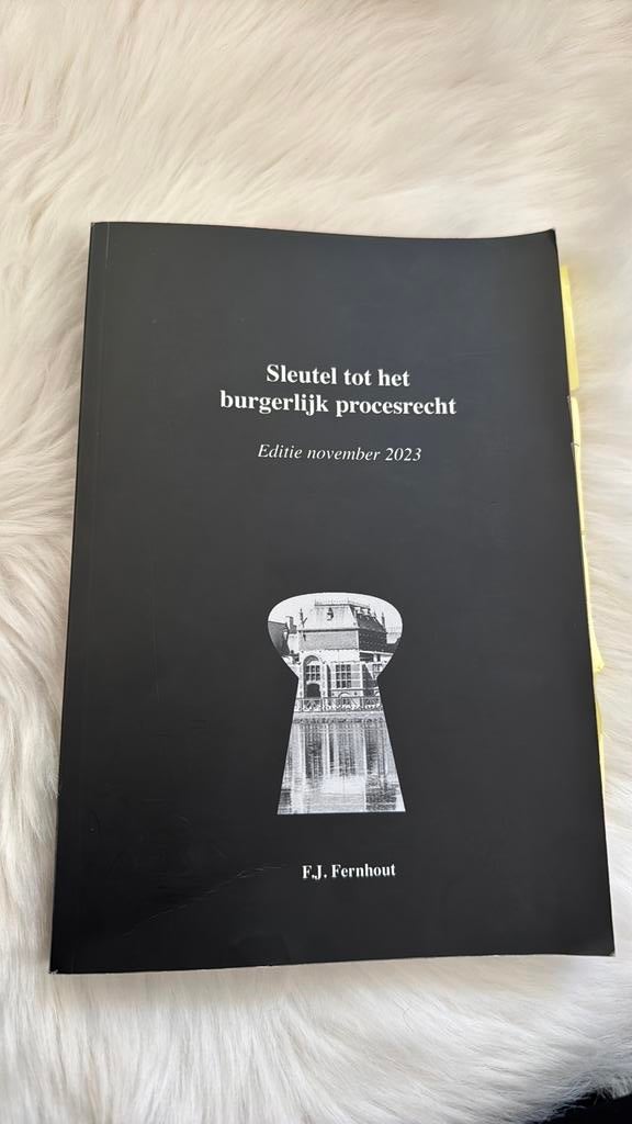 Sleutel tot het burgerlijk procesrecht F.J. Fernhout, Ophalen of Verzenden, Alpha, Zo goed als nieuw, WO