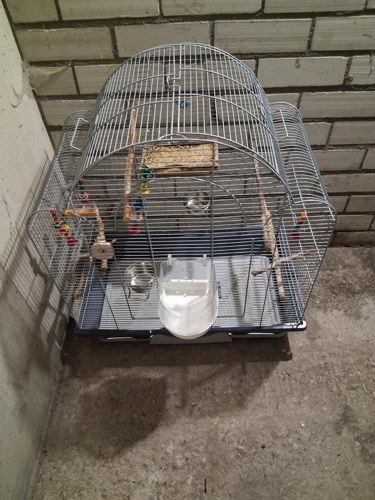 Volgel kooi, Ophalen of Verzenden, Vogelkooi